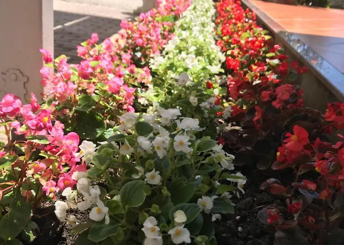 Hotel President Golem (Tirana)